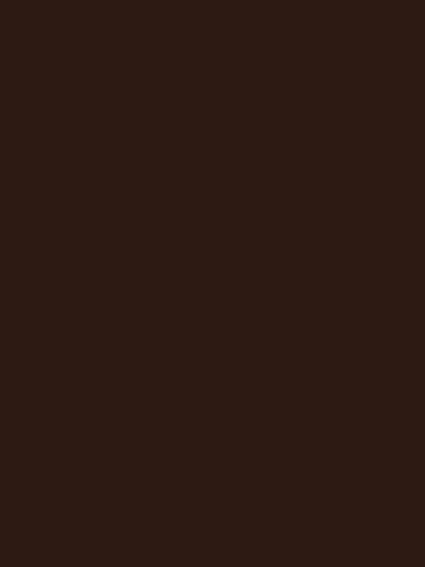 Cocoa Hijab - Image 2